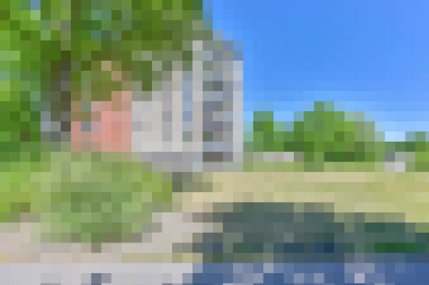 Uilenveld 116 Emmen thumbnail 63