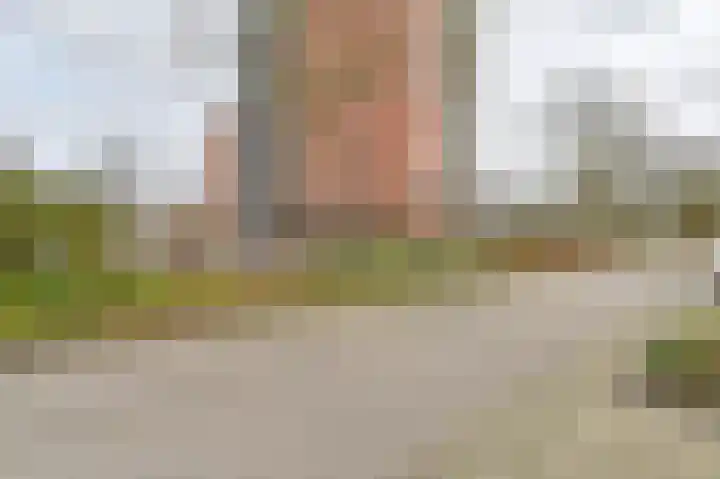 Uilenveld 116 Emmen thumbnail 63