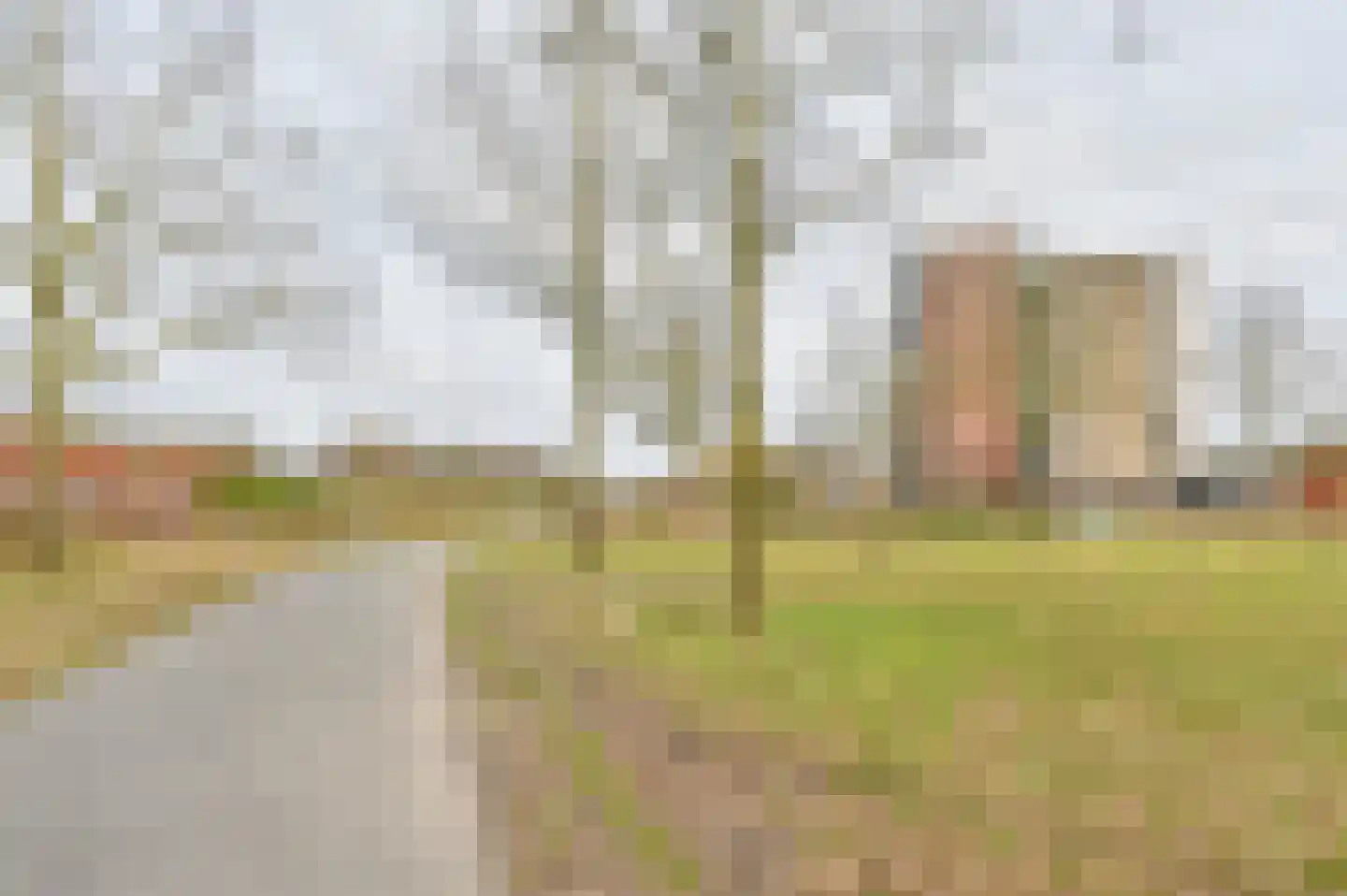 Uilenveld 116 Emmen thumbnail 65