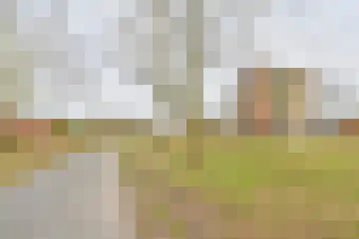 Uilenveld 116 Emmen thumbnail 65