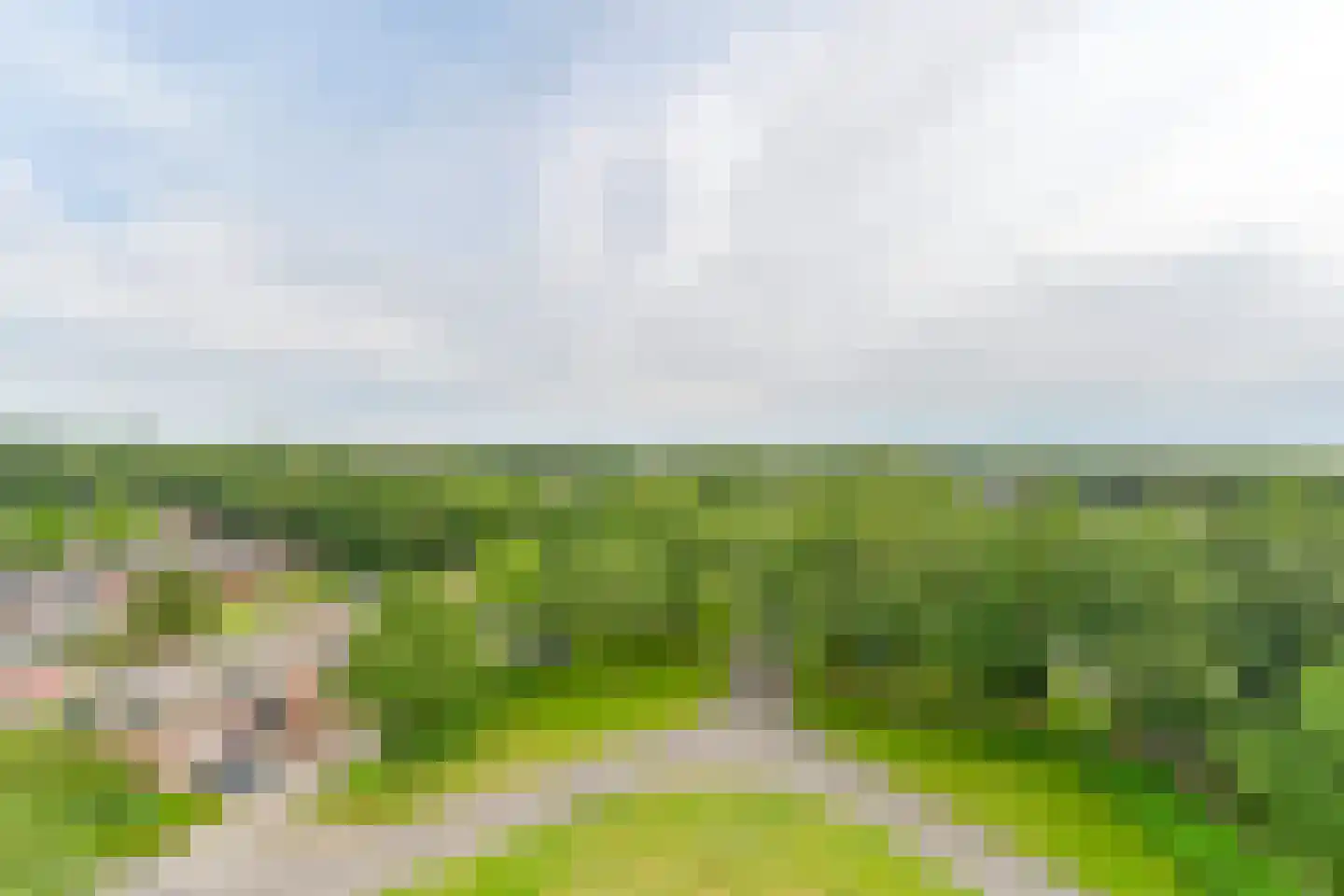 Uilenveld 116 Emmen thumbnail 65