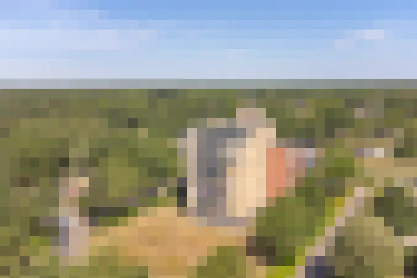 Uilenveld 116 Emmen thumbnail 7