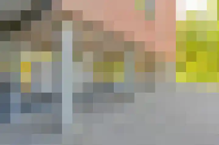 Uilenveld 119 Emmen thumbnail 59