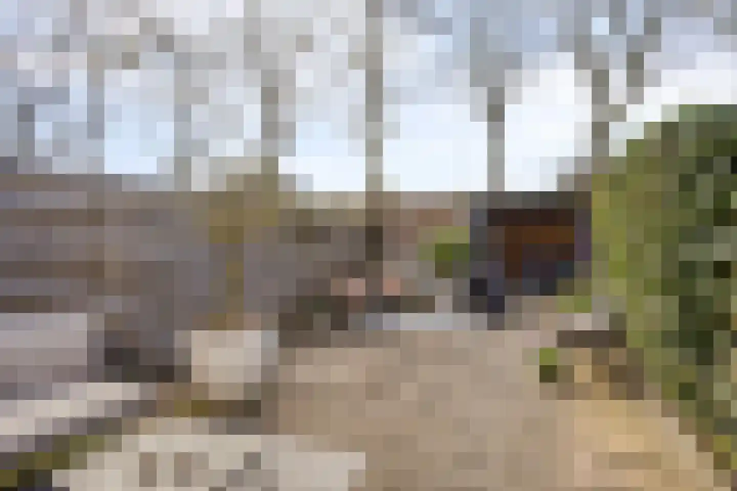 Uilenveld 28 Emmen thumbnail 20