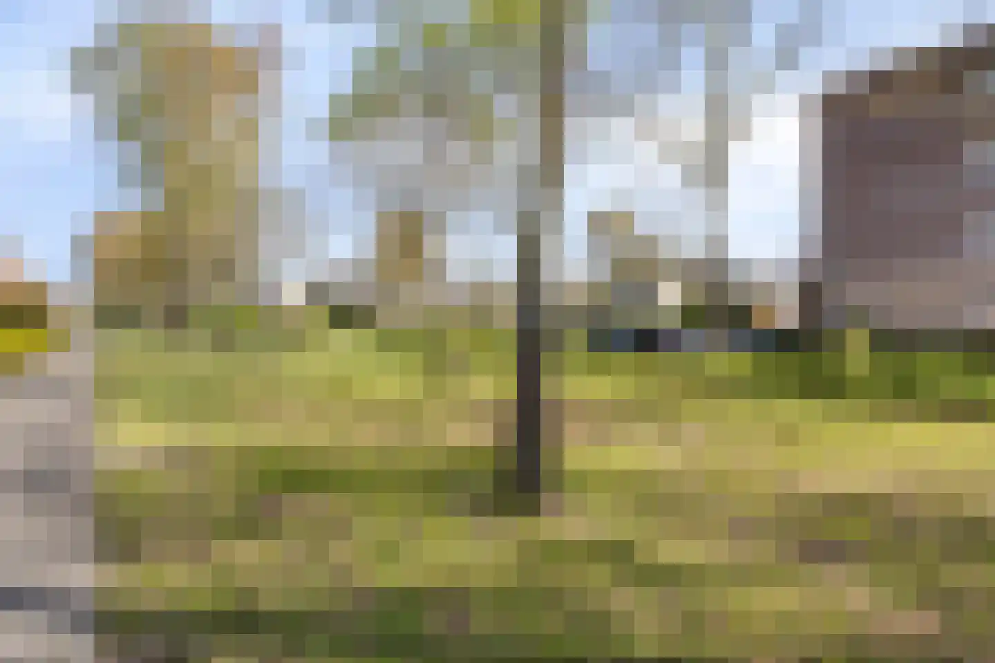 Uilenveld 28 Emmen thumbnail 27