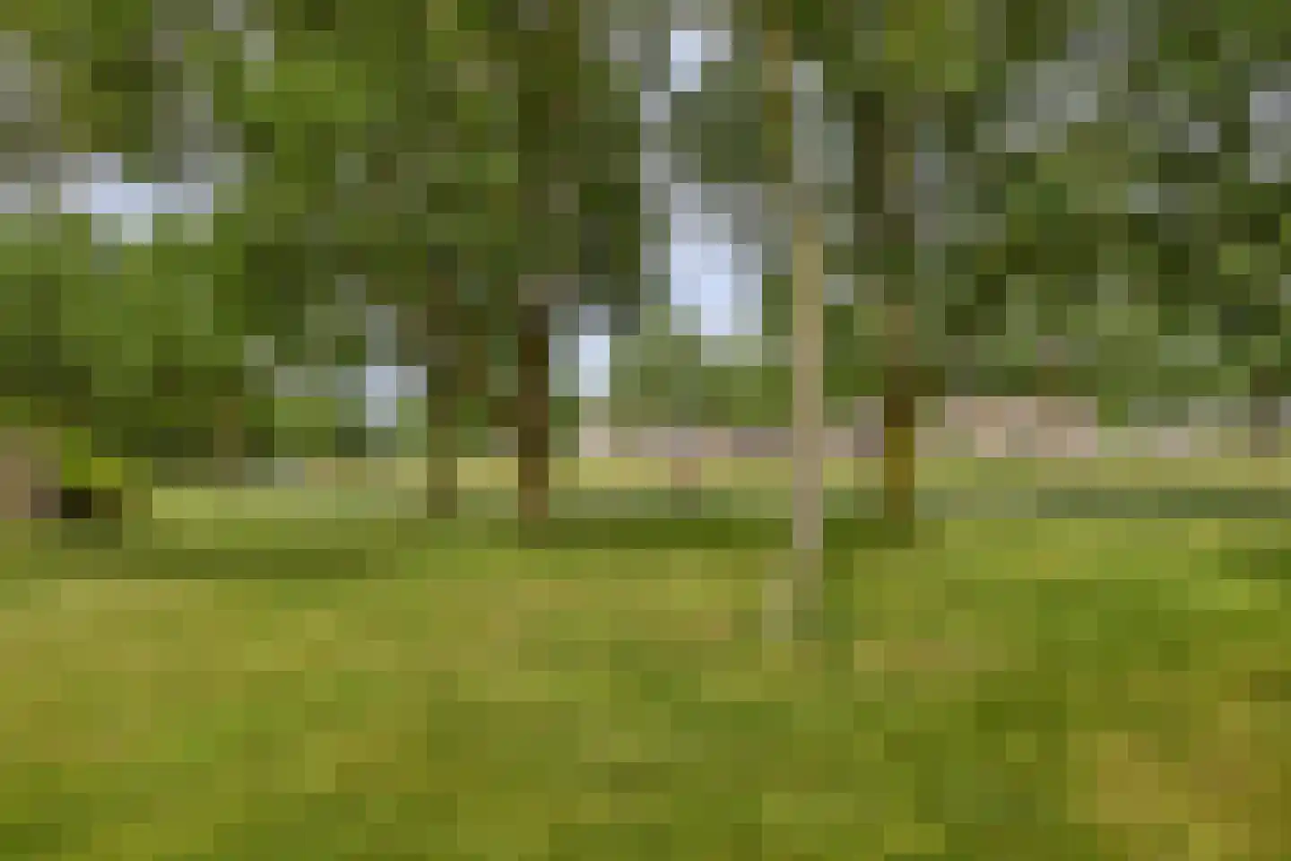 Uilenveld 44 Emmen thumbnail 29