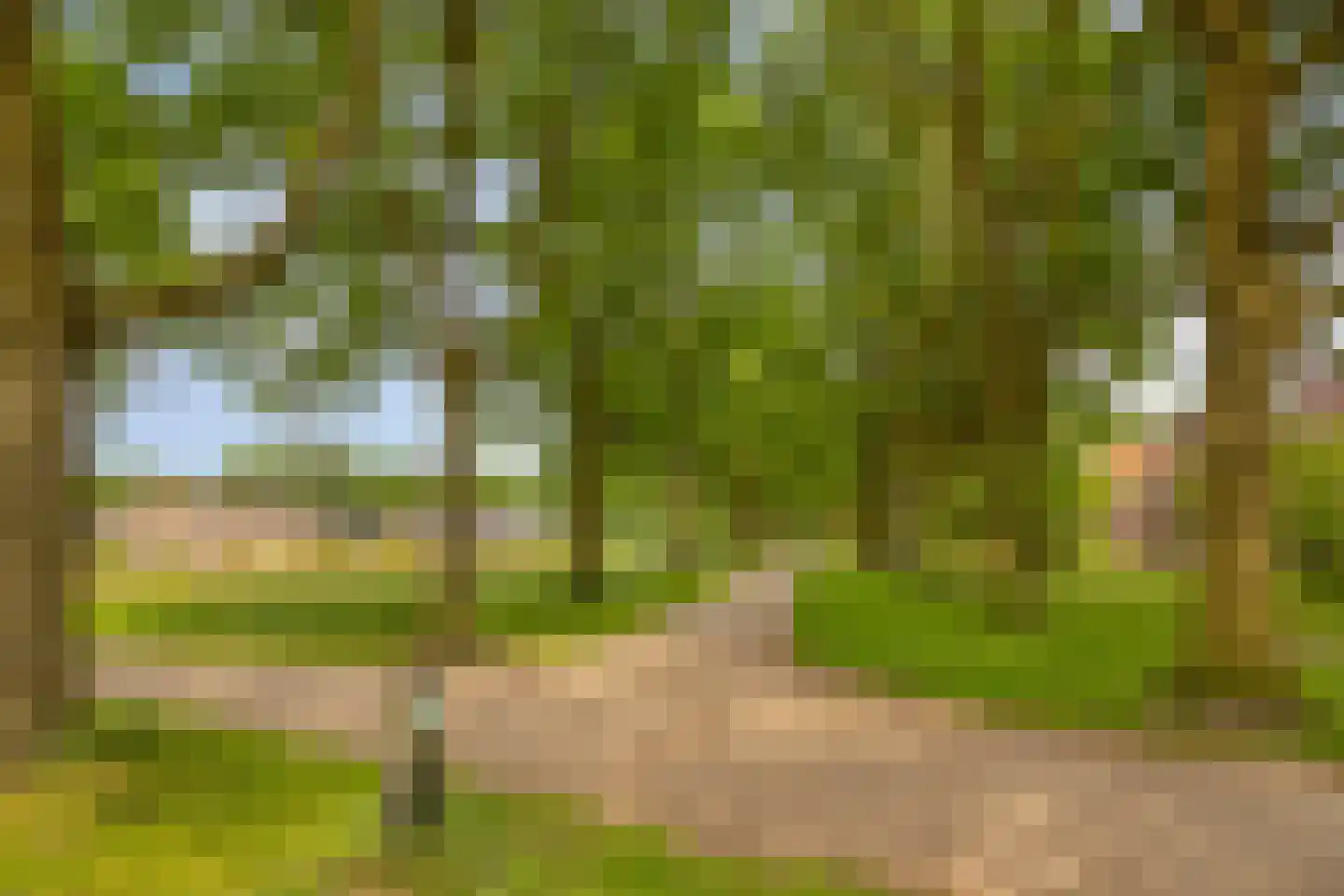 Uilenveld 44 Emmen thumbnail 30