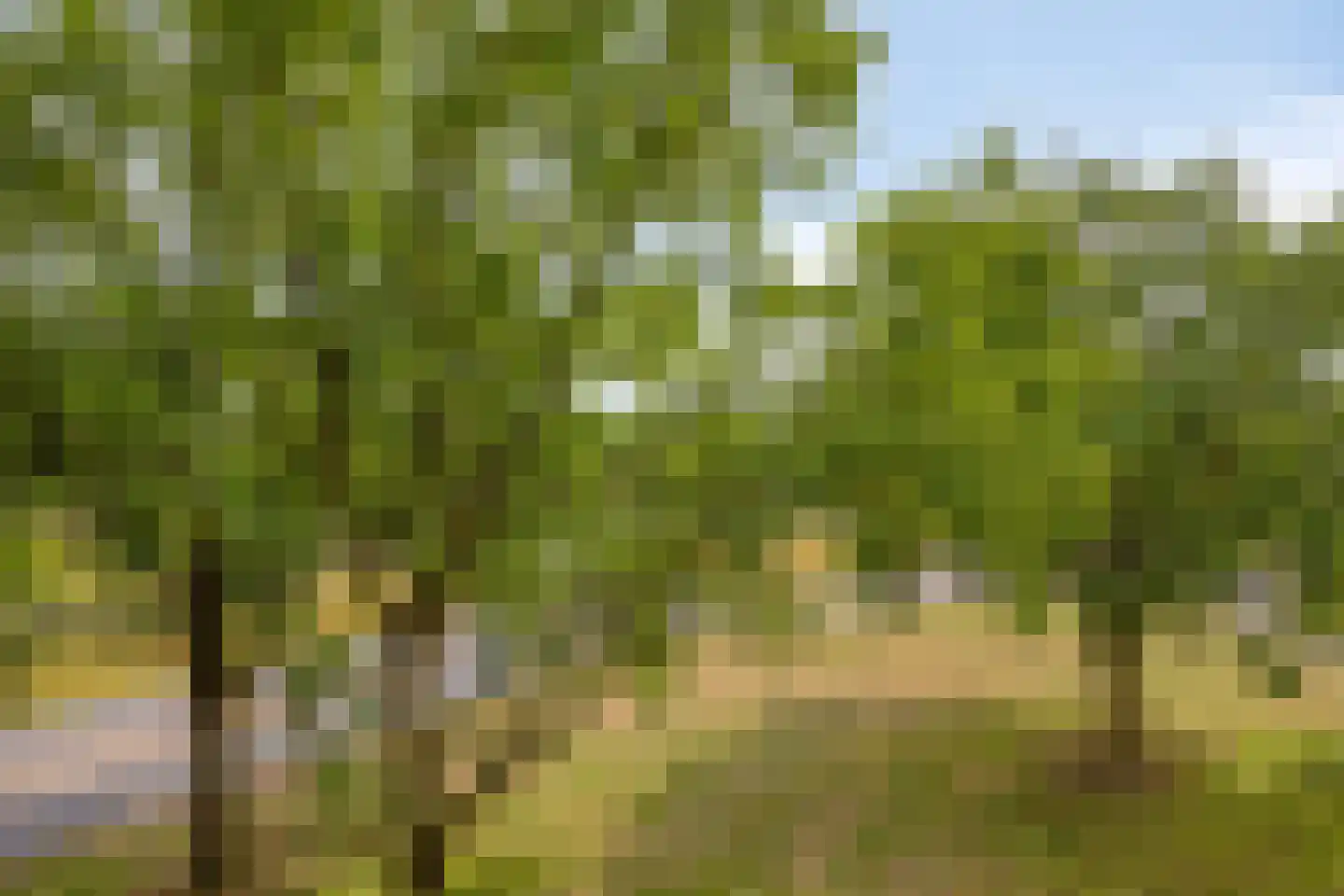 Uilenveld 44 Emmen thumbnail 9