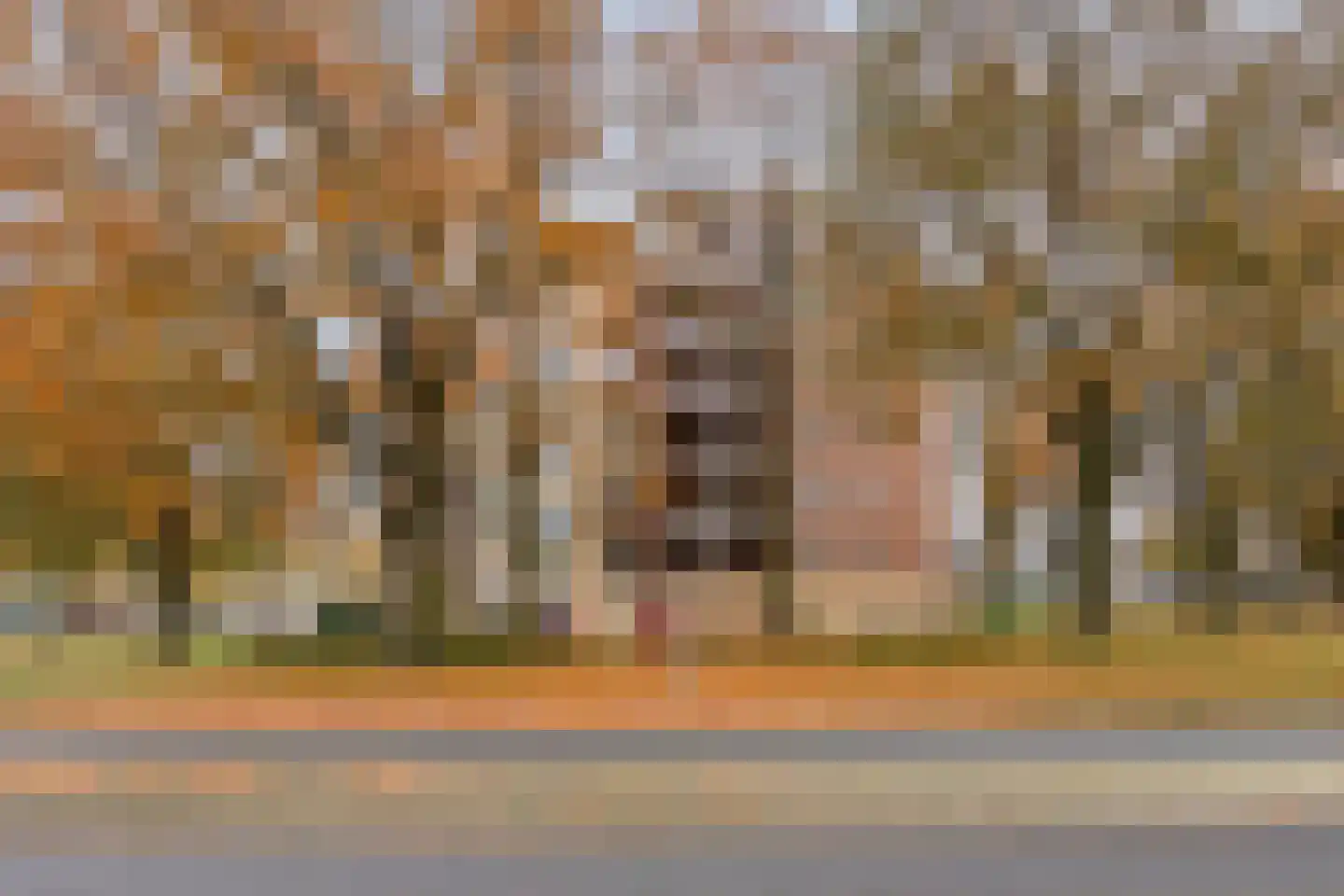 Uilenveld 47 Emmen thumbnail 28
