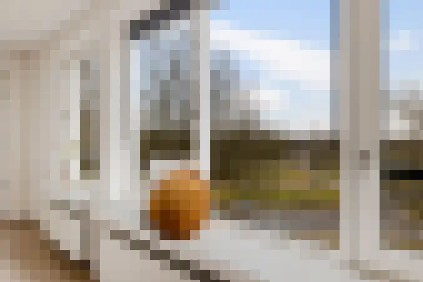 Uilenveld 47 Emmen thumbnail 5