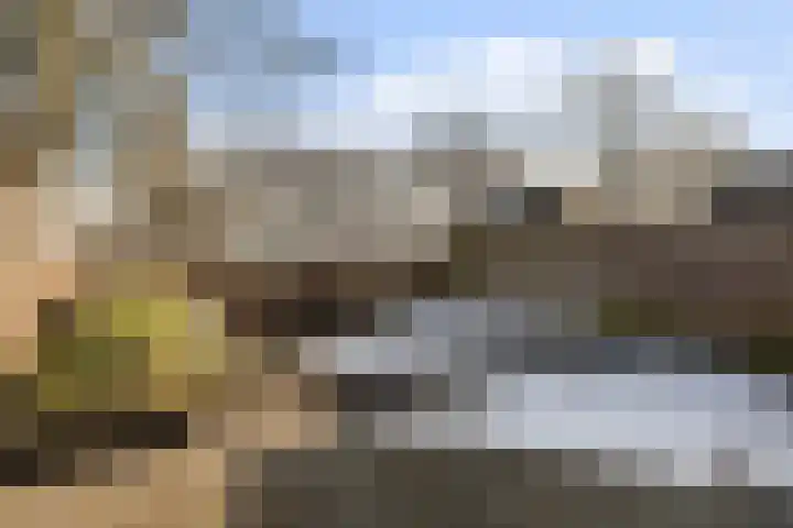 Uilenveld 530 Emmen thumbnail 21