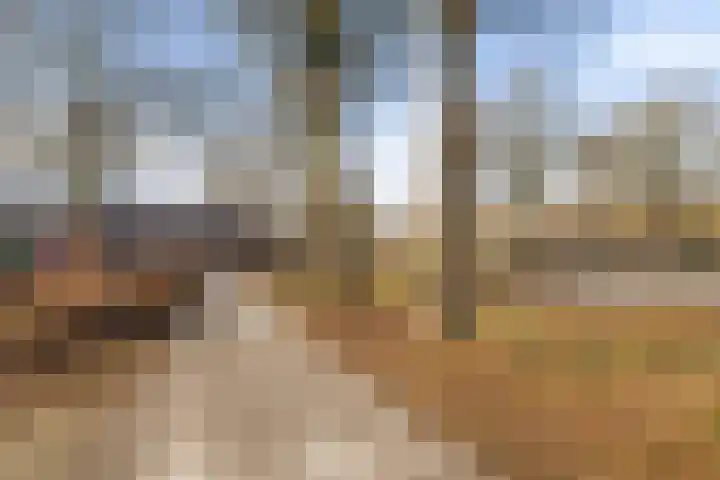 Uilenveld 530 Emmen thumbnail 32