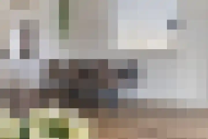 Uilenveld 530 Emmen thumbnail 5