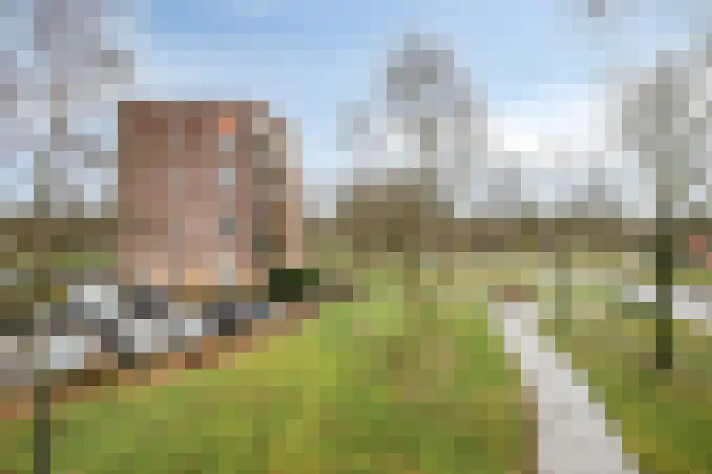 Uilenveld 54 Emmen thumbnail 31