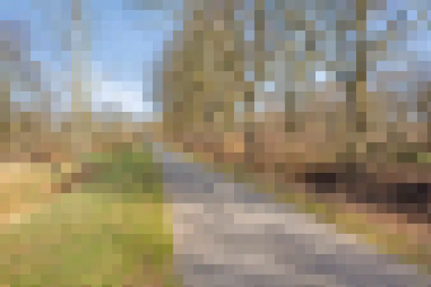 Uilenveld 543 Emmen thumbnail 43