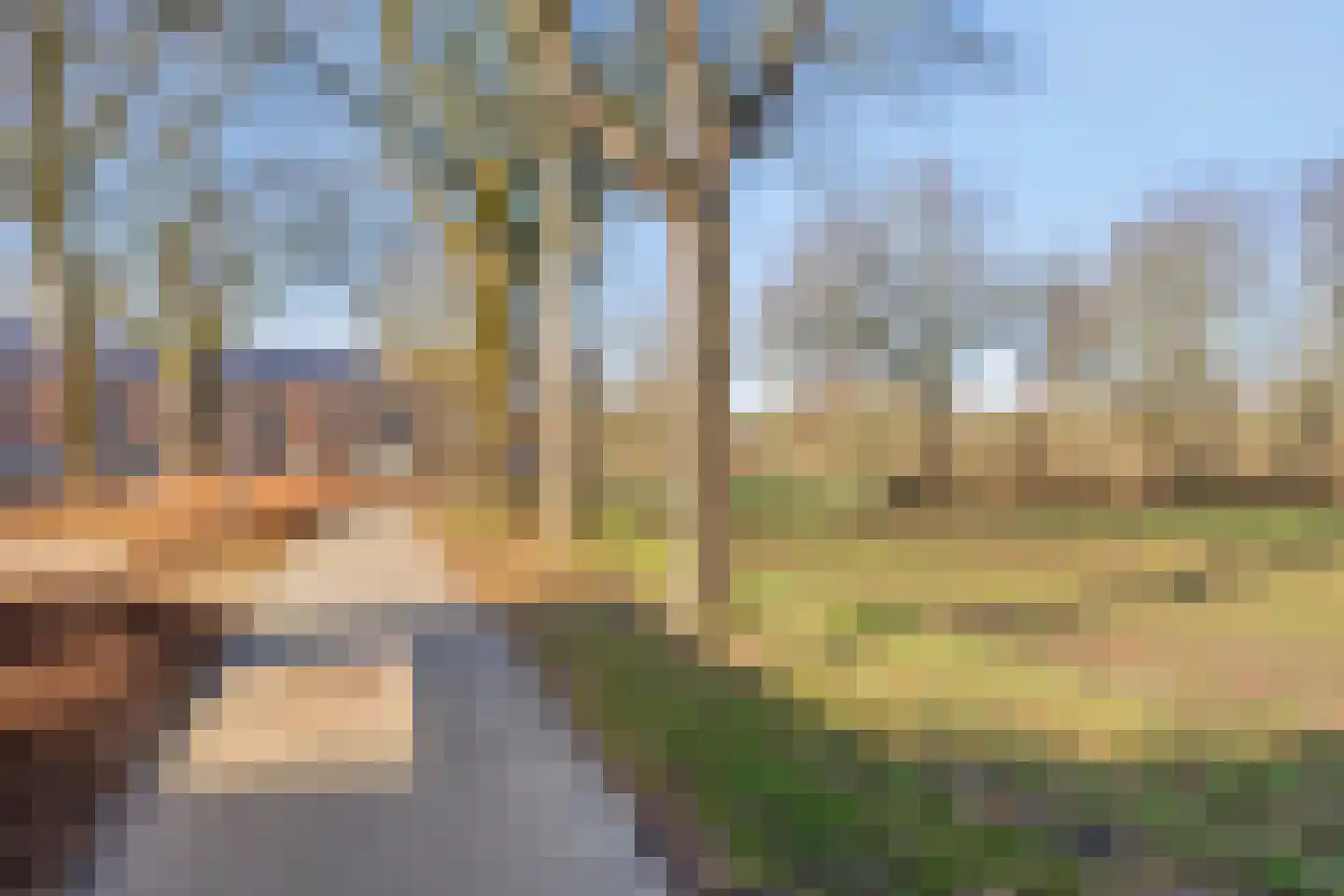 Uilenveld 543 Emmen thumbnail 44