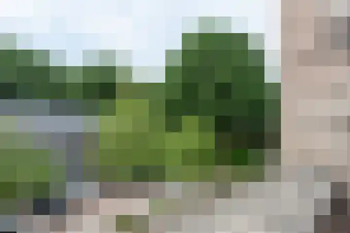 Uilenveld 90 Emmen thumbnail 17
