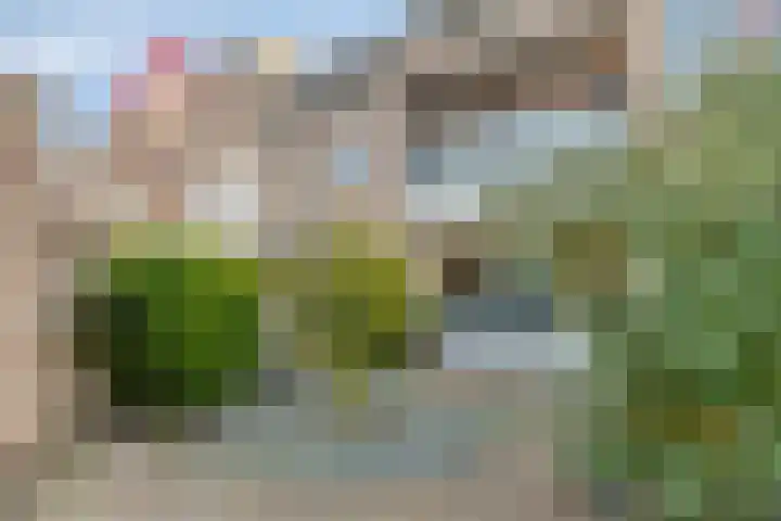 Uilenveld 92 Emmen thumbnail 22