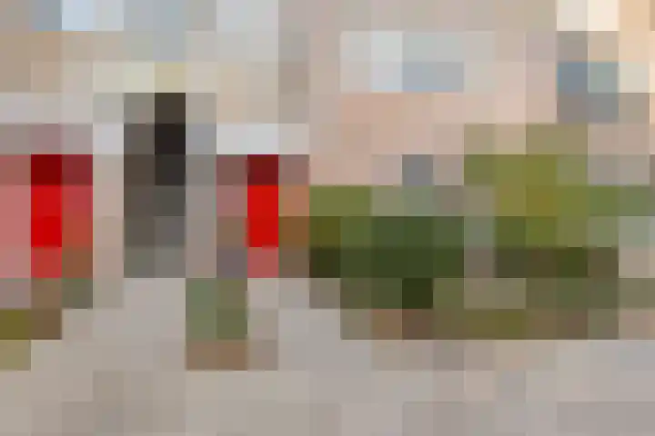Uilenveld 92 Emmen thumbnail 5