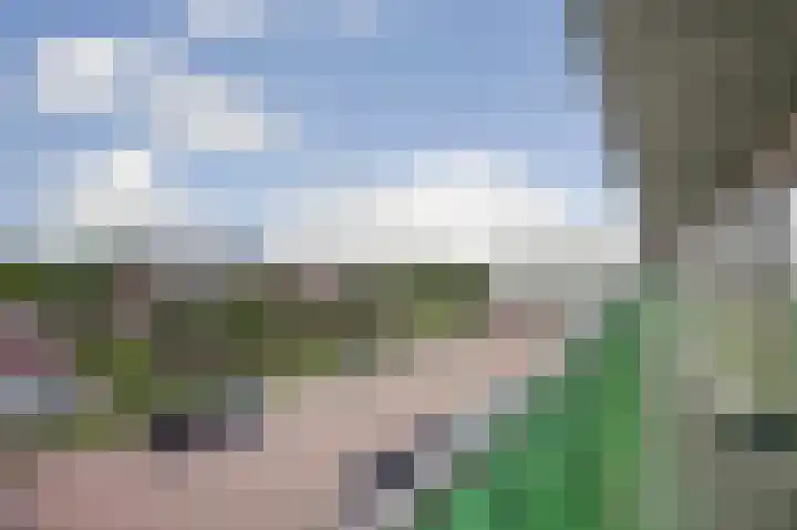 Uilenvliet 1 P 25 Zwijndrecht thumbnail 26
