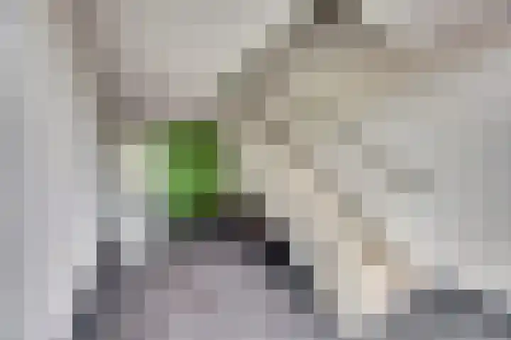 Uilenvliet 1 P 25 Zwijndrecht thumbnail 27