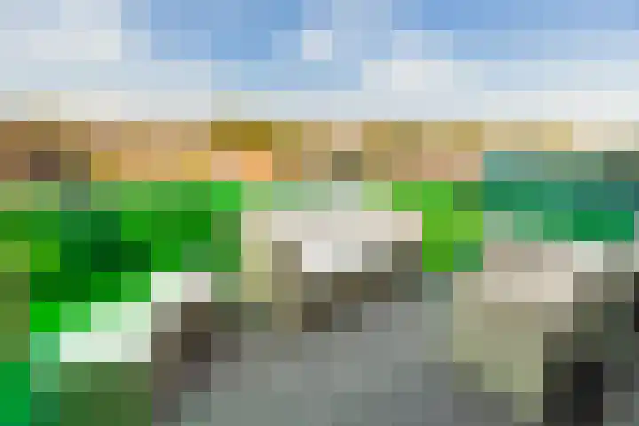 Uilenvliet 1 P 34 Zwijndrecht thumbnail 18