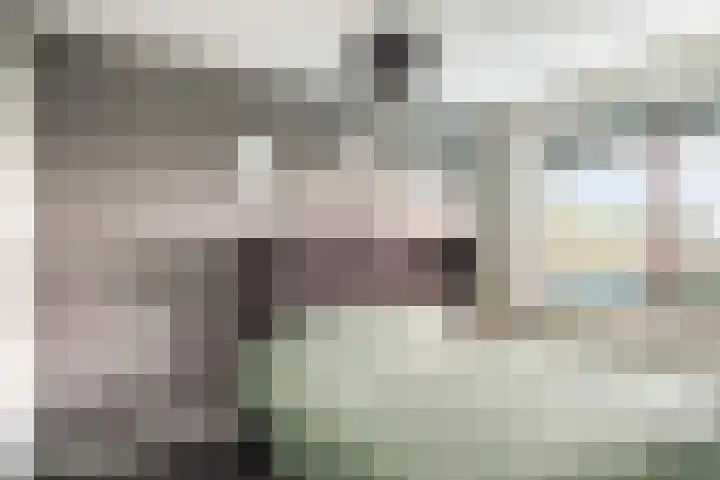 Uilenvliet 1 P 34 Zwijndrecht thumbnail 20