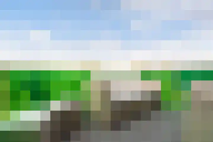 Uilenvliet 1 P 34 Zwijndrecht thumbnail 4