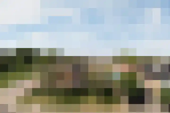 Uilenvliet 1 P 34 Zwijndrecht thumbnail 5