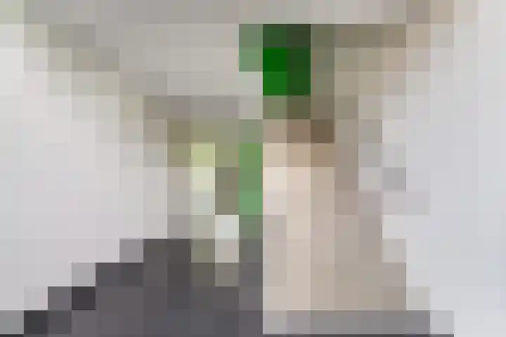 Uilenvliet 1 P 34 Zwijndrecht thumbnail 9