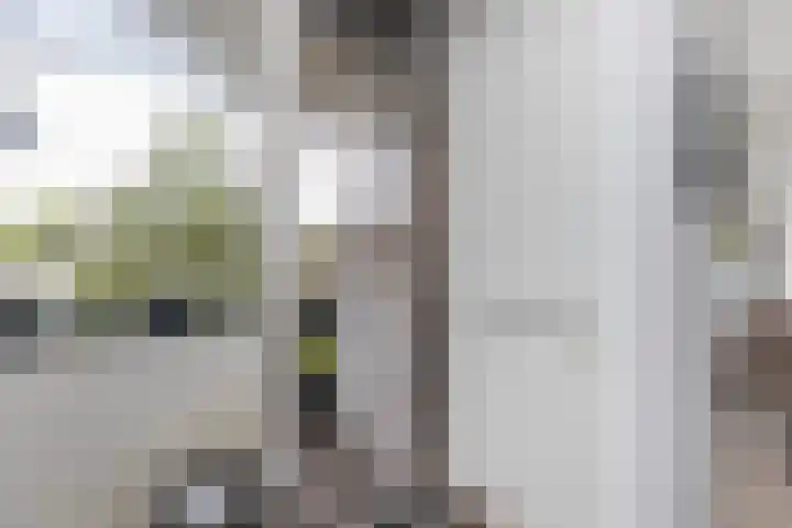 Uilenvliet 11 Zwijndrecht thumbnail 14