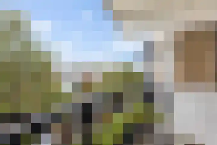 Uilenvliet 11 Zwijndrecht thumbnail 15
