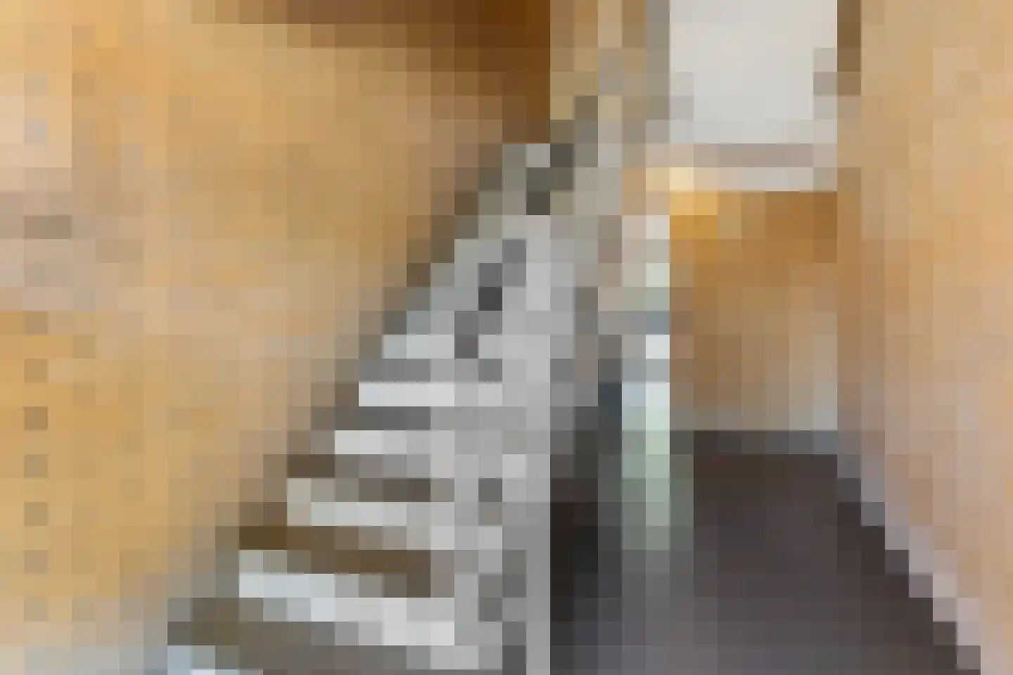 Uilenvliet 35 Zwijndrecht thumbnail 38
