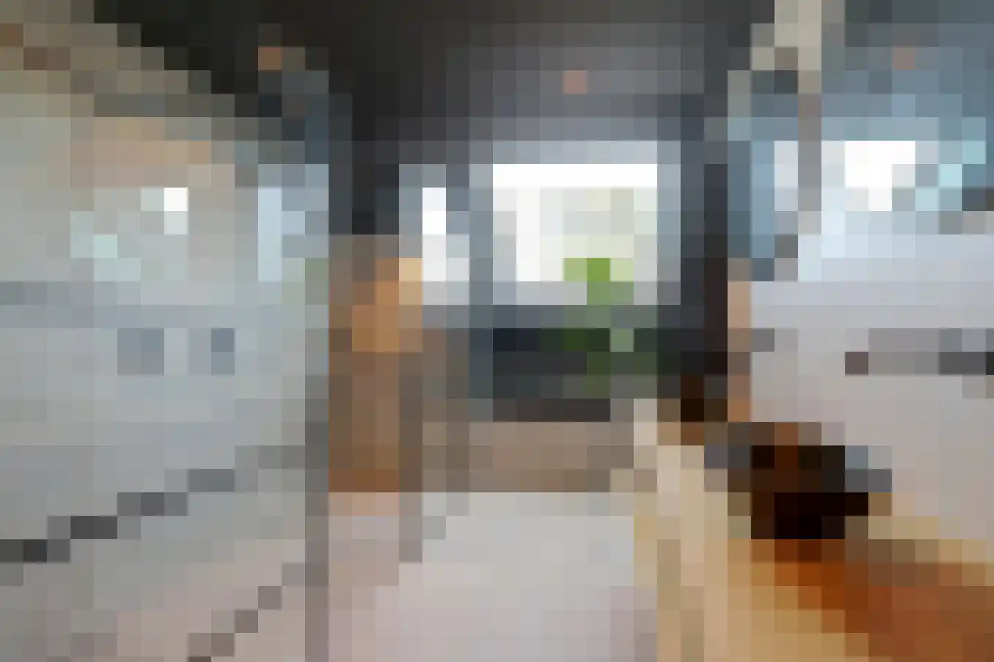 Uilenvliet 38 Zwijndrecht thumbnail 4