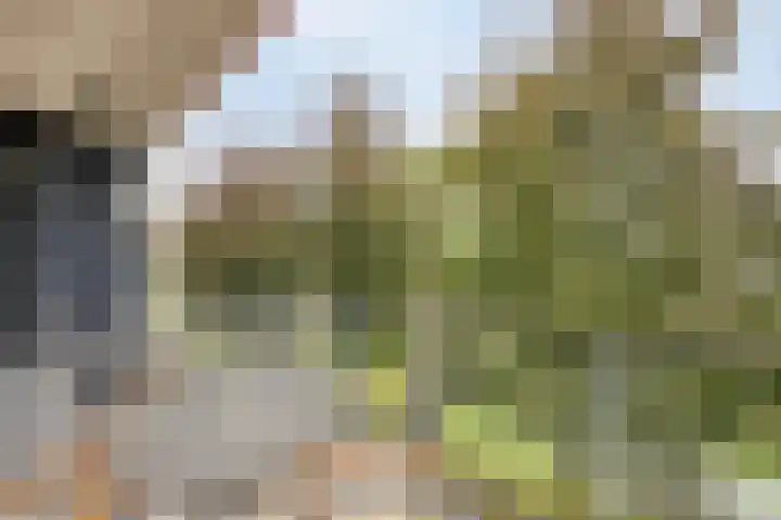 Uilenvliet 73 Zwijndrecht thumbnail 11