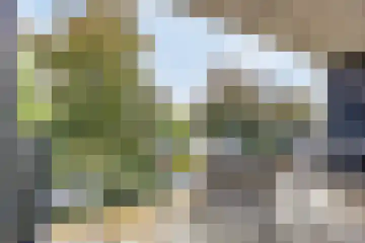 Uilenvliet 73 Zwijndrecht thumbnail 12