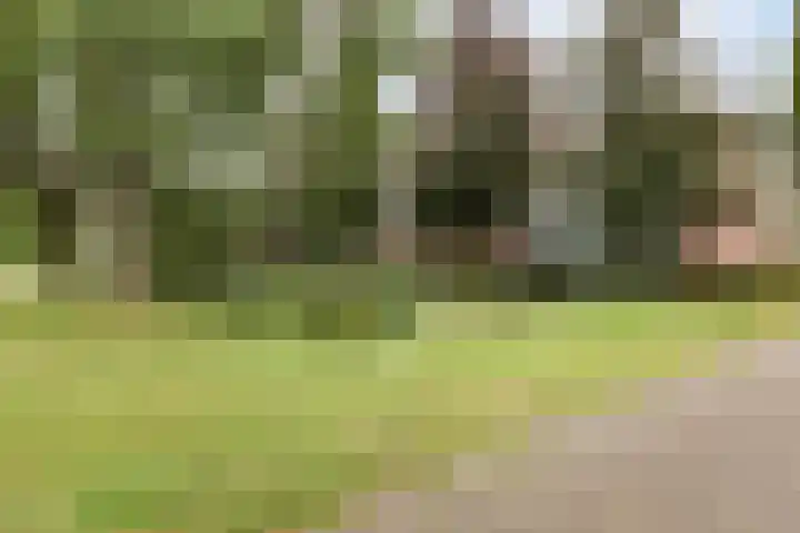 Uilenvliet 73 Zwijndrecht thumbnail 7