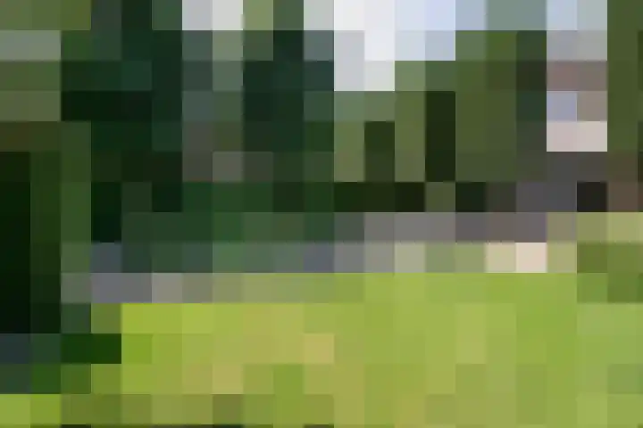 Uilenweg 14 Weert thumbnail 39