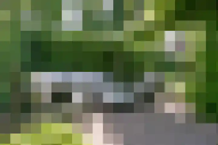 Uilenweg 14 Weert thumbnail 4