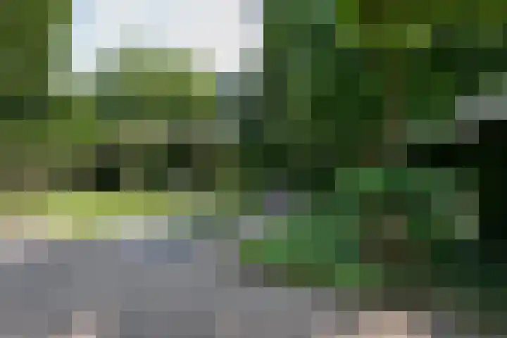 Uilenweg 14 Weert thumbnail 41
