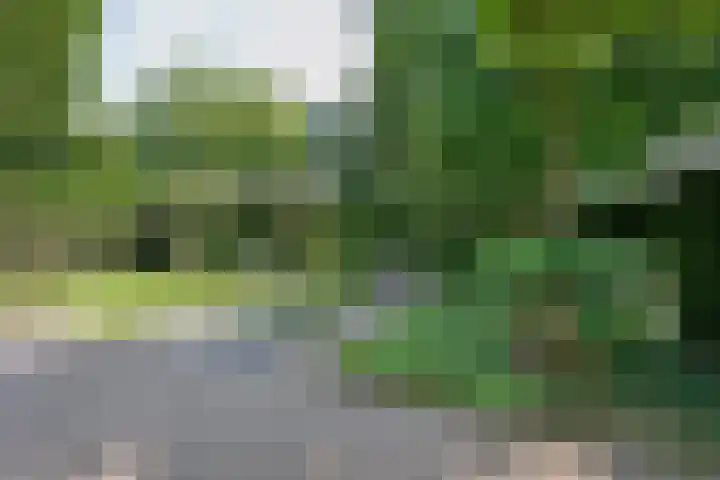 Uilenweg 14 Weert thumbnail 42