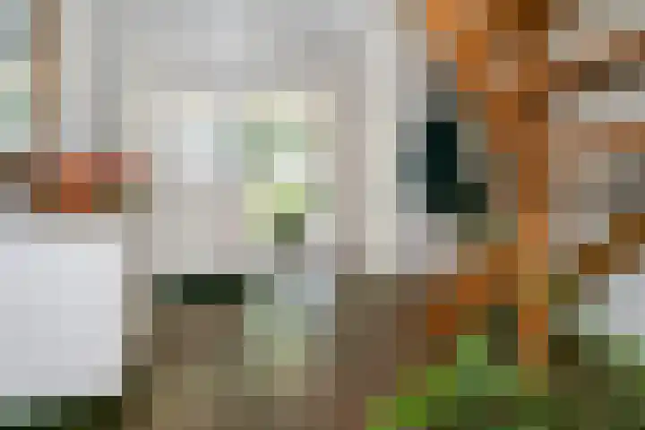 Uilenweg 14 Weert thumbnail 6