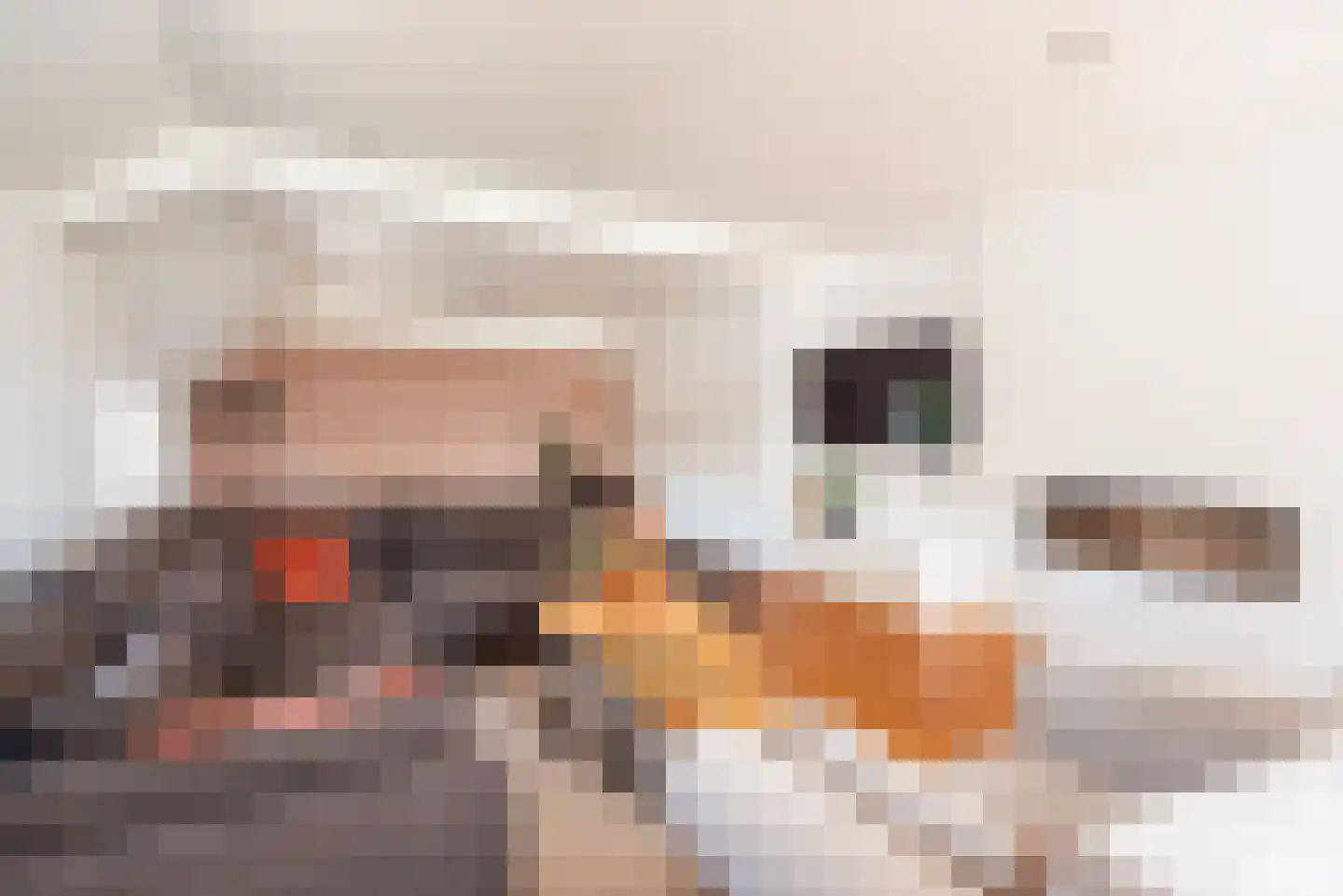 Uilenweg 3 Megchelen thumbnail 19