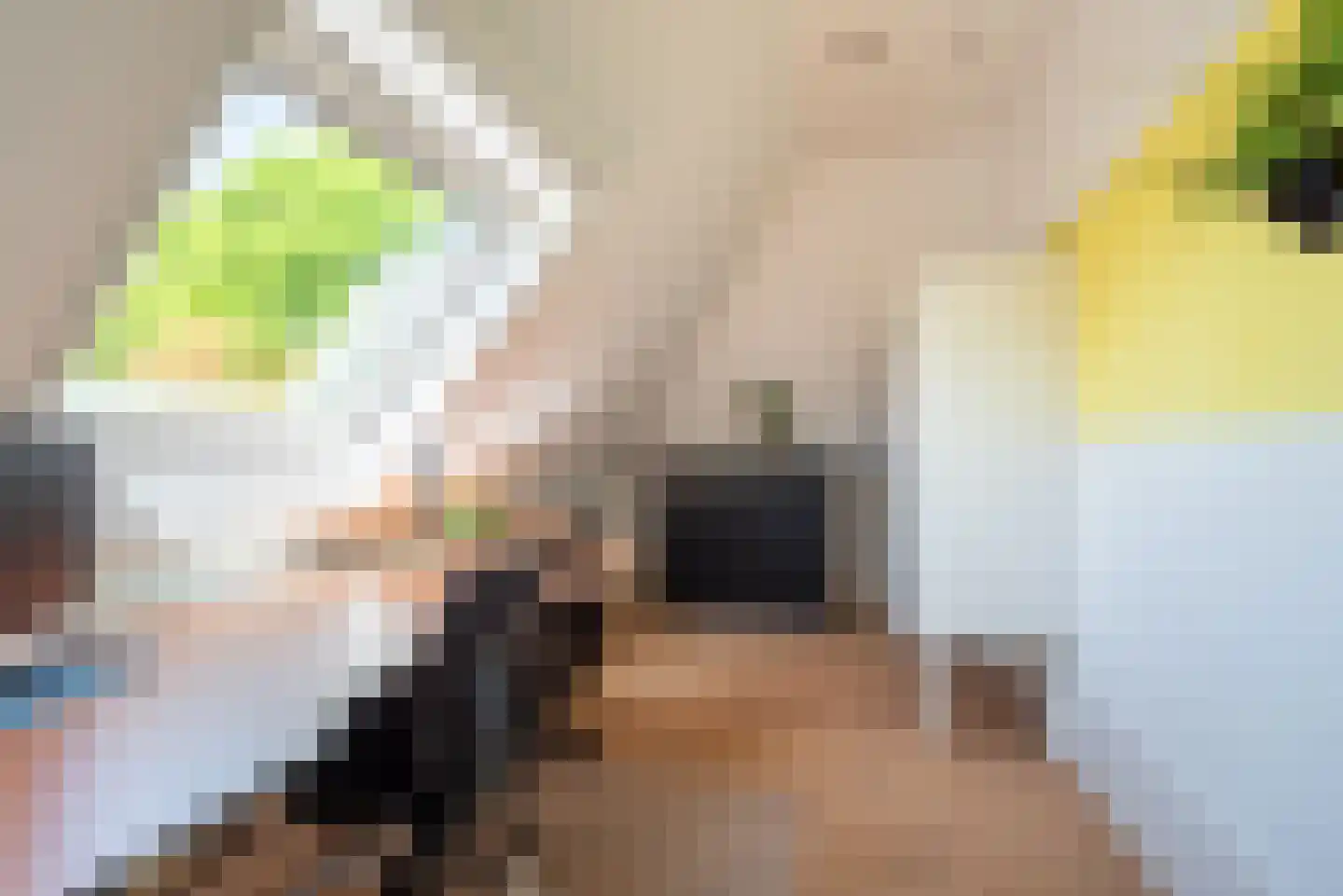 Uilenweg 3 Megchelen thumbnail 39