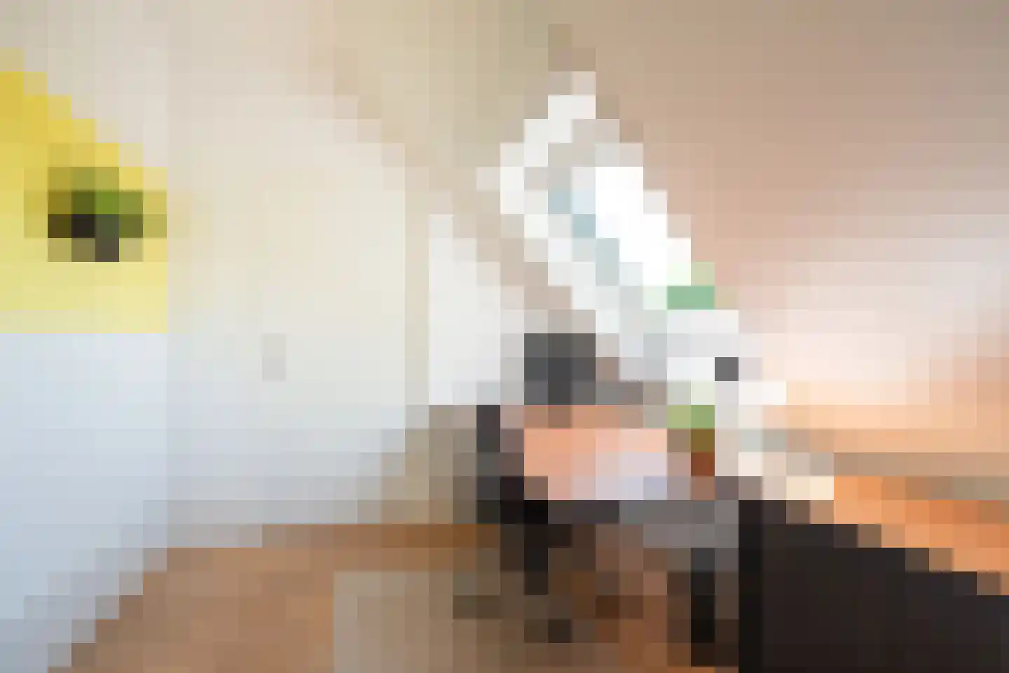 Uilenweg 3 Megchelen thumbnail 40