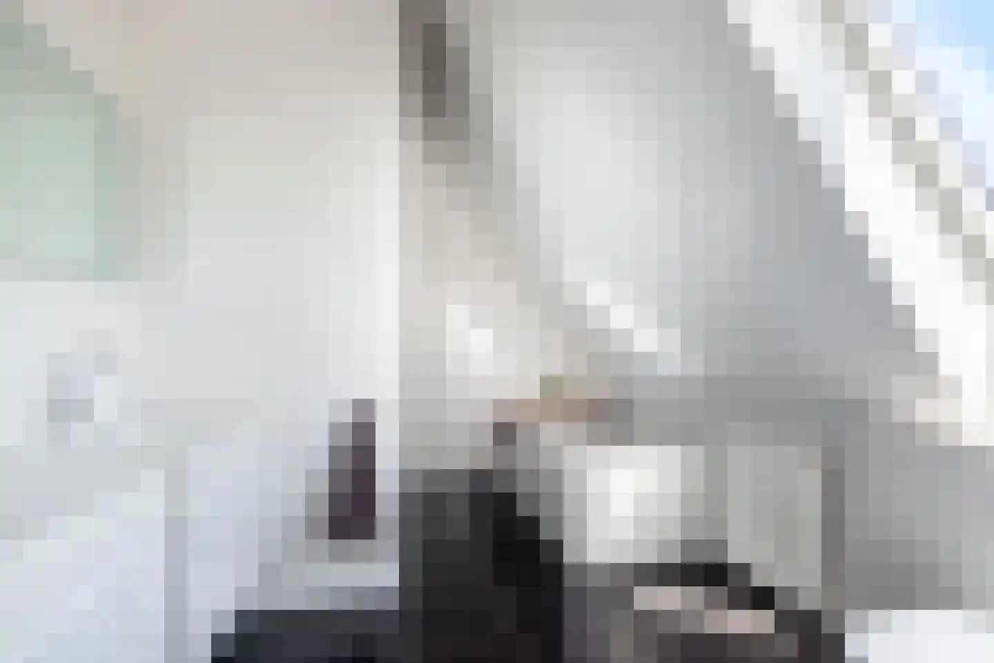 Uilenweg 3 Megchelen thumbnail 43