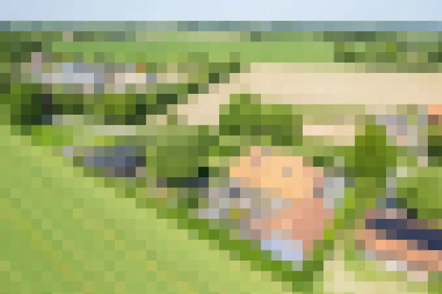 Uilenweg 3 Megchelen thumbnail 46