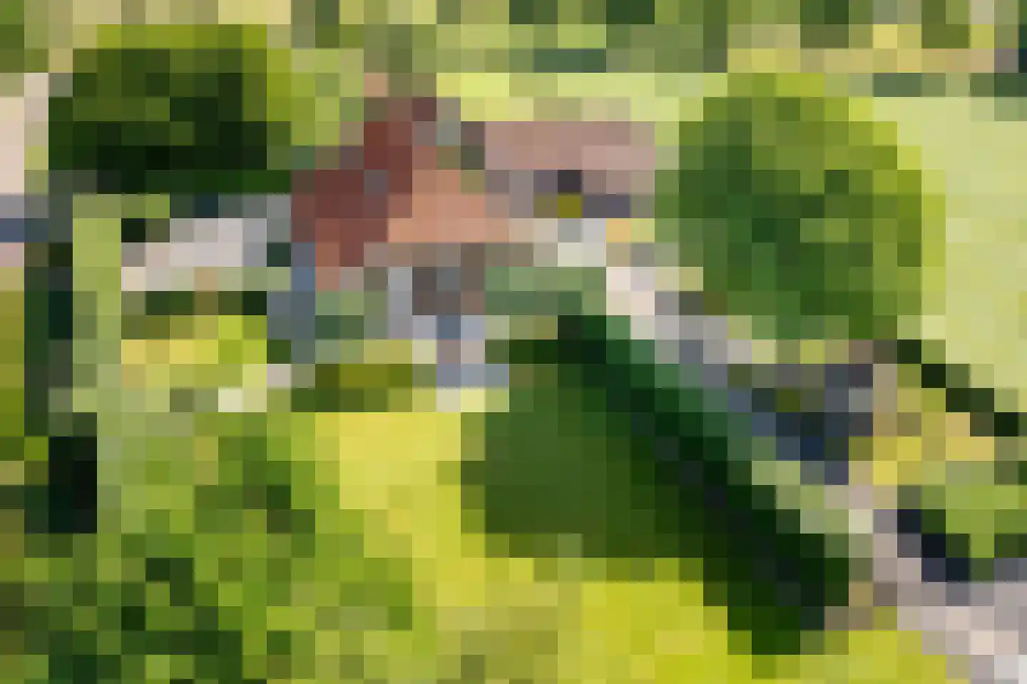 Uilenweg 3 Megchelen thumbnail 5