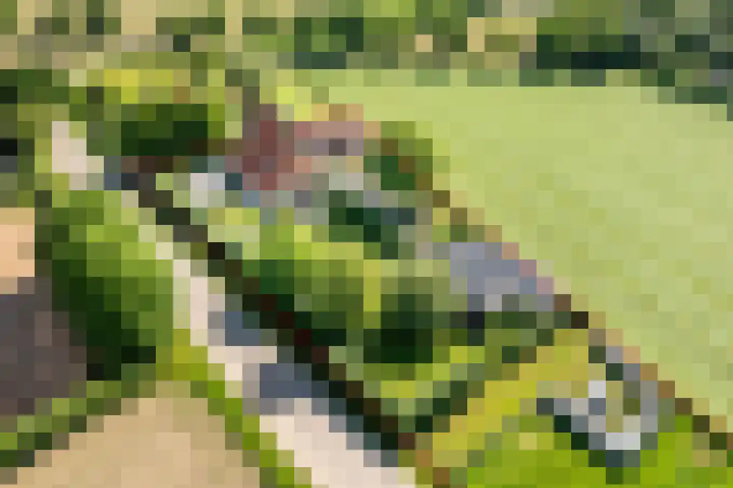 Uilenweg 3 Megchelen thumbnail 6