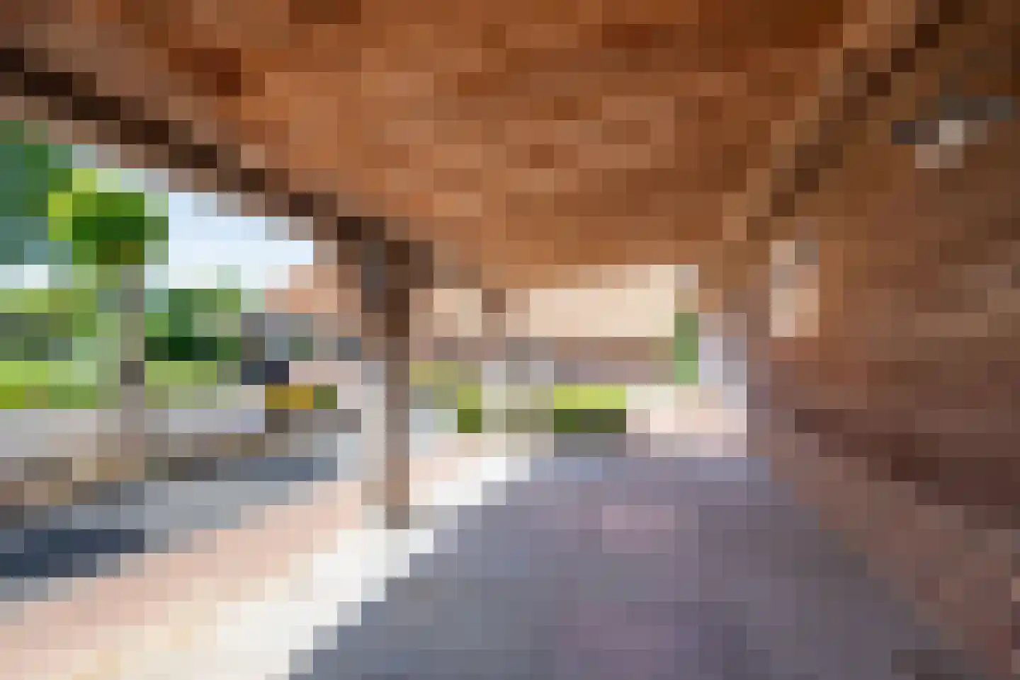 Uilenweg 3 Megchelen thumbnail 60